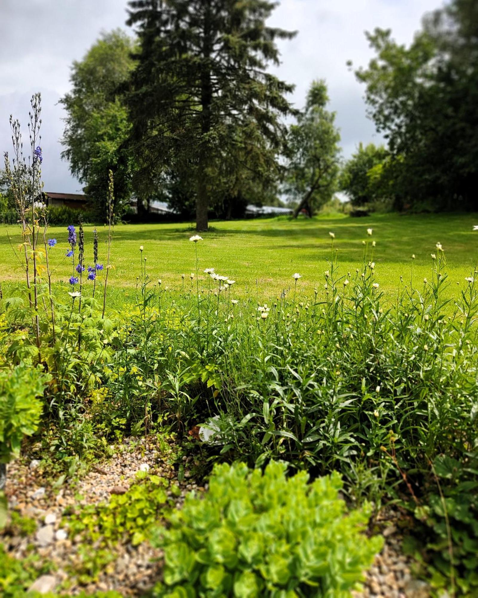 Gruenvogels Landgasthof Zum Gruenen Baum Oberzent エクステリア 写真