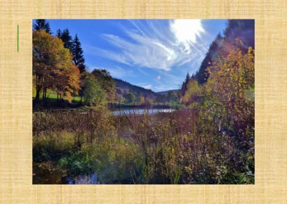 Gruenvogels Landgasthof Zum Gruenen Baum Oberzent エクステリア 写真