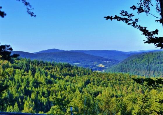 Gruenvogels Landgasthof Zum Gruenen Baum Oberzent エクステリア 写真